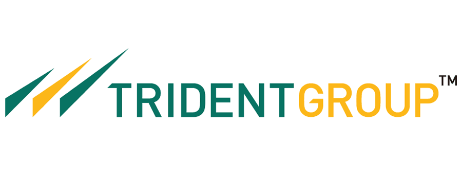 trident-group-vector-logo
